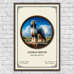 Afghan Hound Zoologie-Serie Poster