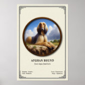 Afghan Hound Zoologie-Serie Poster (Vorne)