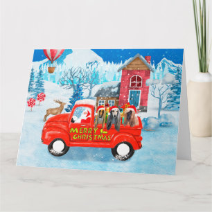 Afghan Hounds Hund im Weihnachtslieferwagen Schnee Karte