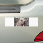 Afghan_Shepherd Autoaufkleber (Auf Auto)