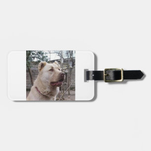 Afghan_Shepherd Gepäckanhänger