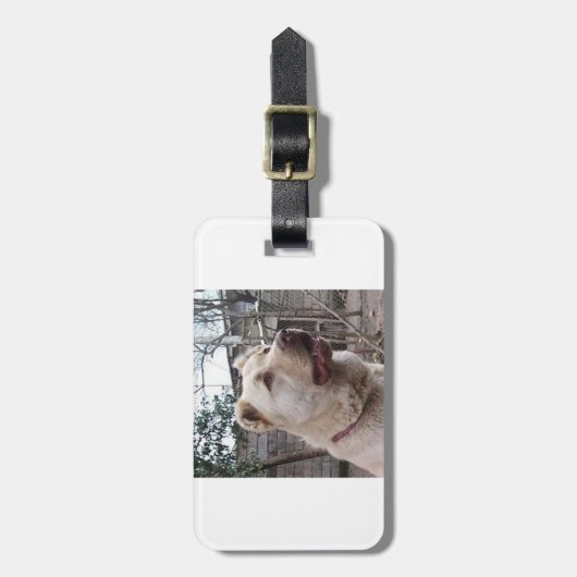 Afghan_Shepherd Gepäckanhänger (Vorderseite vertikal)