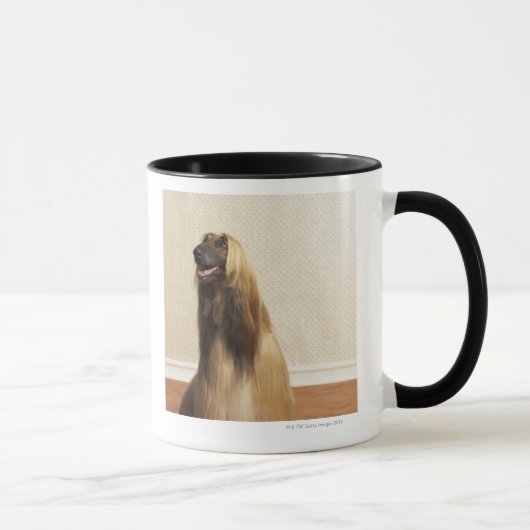 Afghane, der in Raum 2 sitzt Tasse (Rechts)