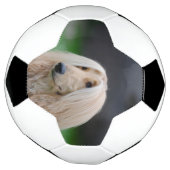 afghanisch fußball (Gedreht)