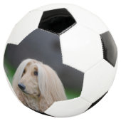 afghanisch fußball (Dreiviertel)