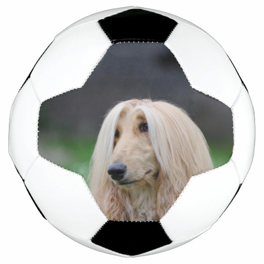 afghanisch fußball (Vorderseite)