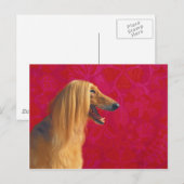Afghanische Hundekarten und geografische Angaben Postkarte (Vorne/Hinten)