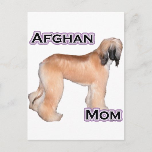 Afghanische Mama 4 Postkarte (Vorderseite)