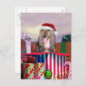 Afghanische Weihnachtsüberraschung Feiertagspostkarte (Vorne/Hinten)