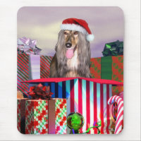 Afghanische Weihnachtsüberraschung