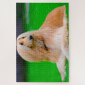 Afghanischer Grauhund Hund. Puzzle (Vertikal)