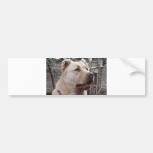 Afghanischer Hirtenhund Autoaufkleber