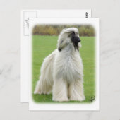 Afghanischer Hund 9Y247D-010 Postkarte (Vorne/Hinten)