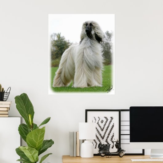 Afghanischer Hund 9Y247D-025 Poster (Heimbüro)