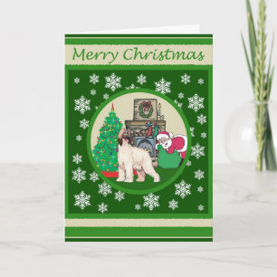 Afghanischer Hund Alte Weihnachten