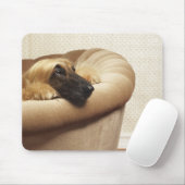 Afghanischer Hund auf einem Sofa Mousepad (Mit Mouse)
