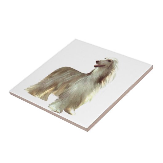 Afghanischer Hund (B) - stehend Fliese (Seite)