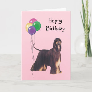 Afghanischer Hund, Birthday Balloons Karte