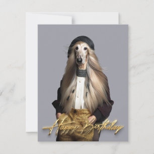 Afghanischer Hund blondes Haar in Hosen Glücklich 