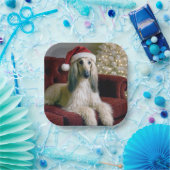 Afghanischer Hund, der einen Weihnachtshut trägt Pappteller (Party)