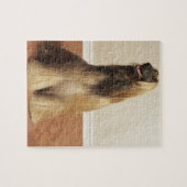Afghanischer Hund im Zimmer 2 Puzzle (Horizontal)