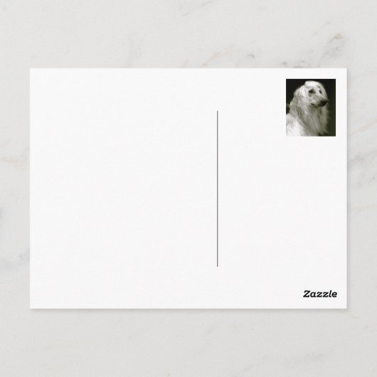 Afghanischer Hund Postkarte (Rückseite)