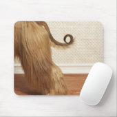 Afghanischer Hund stehend im Zimmer, Ende Abschnit Mousepad (Mit Mouse)
