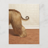 Afghanischer Hund stehend im Zimmer, Ende Abschnit Postkarte (Vorderseite)