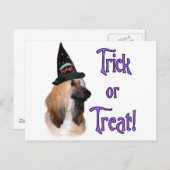 Afghanischer Trick Postkarte (Vorne/Hinten)