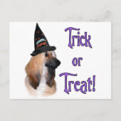 Afghanischer Trick Postkarte (Vorderseite)