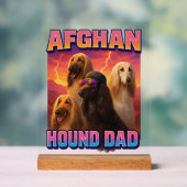 Afghanischer Windhund Acrylschild (Neutral)