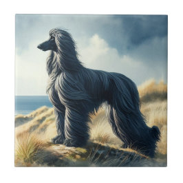 Afghanischer Windhund Fliese