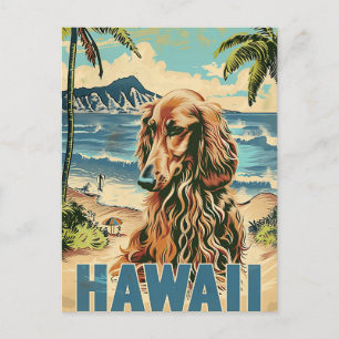 Afghanischer Windhund Hawaii Urlaub Reise Postkarte