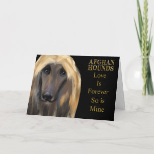 Afghanischer Windhund Karte