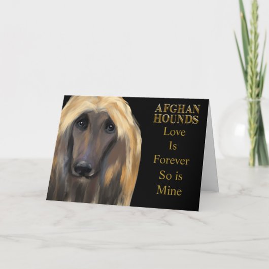 Afghanischer Windhund Karte (Vorderseite)