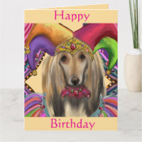 Afghanischer Windhund