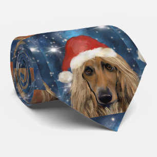  AFGHANISCHER WINDHUND     KRAWATTE