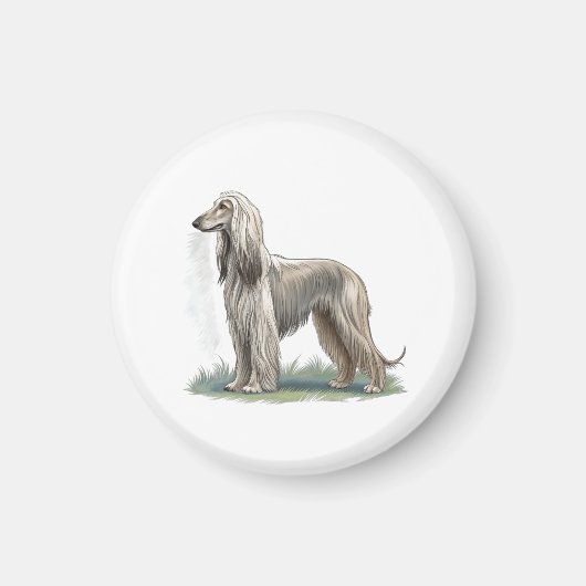 Afghanischer Windhund Magnet (Vorne)