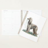 Afghanischer Windhund Planer (Anzeige)