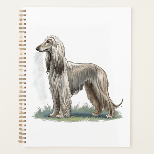 Afghanischer Windhund Planer (Vorderseite)