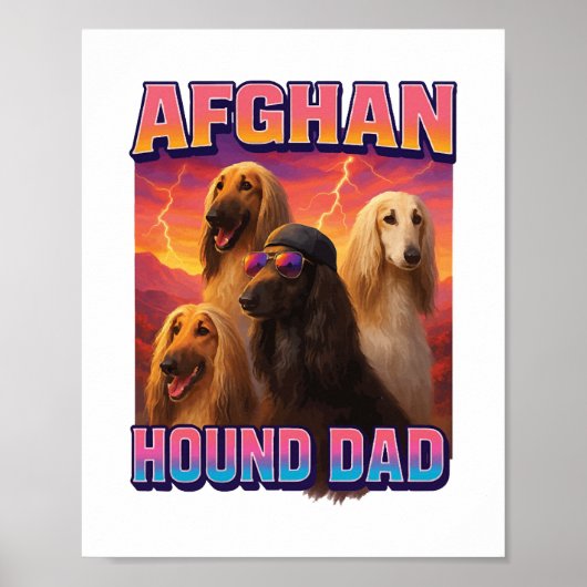 Afghanischer Windhund Poster (Vorne)