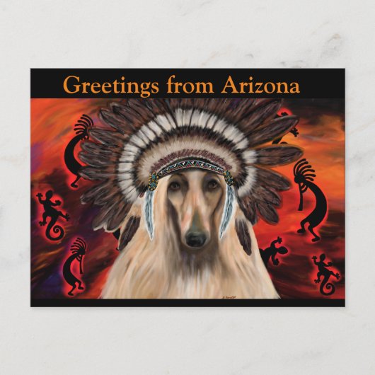 Afghanischer Windhund Postkarte (Vorderseite)