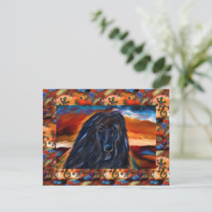 Afghanischer Windhund  Postkarte