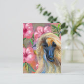 Afghanischer Windhund Postkarte (Stehend Vorderseite)