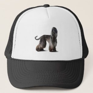 Afghanischer Windhund Truckerkappe