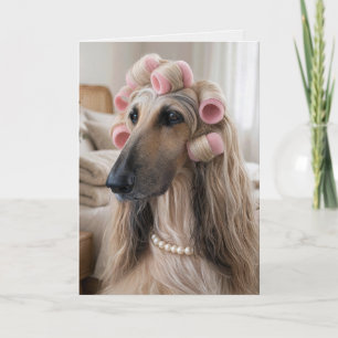 Afghanischer Windhund zum Geburtstag mit rosa Lock Karte