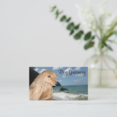 Afghanisches Jagdhundpflegen Visitenkarte (Stehend Vorderseite)