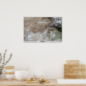 Afghanistan Satelliten Poster Map Print Foto (Küche)