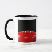 AFL TASSE (Links)