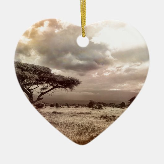 africa-944-land-wild-nature keramikornament (Vorne)